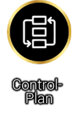 Control-Plan / Produktionslenkungsplan